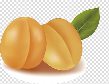 Apricot Android, Apricot fruit material transparent background PNG clipart