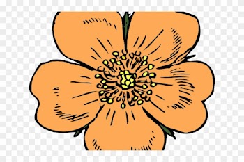 Apricot Clipart Peach Blossom - Wild Rose Clip Art