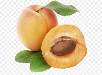 Apricot Fruit Clip art - Apricot PNG Clipart Picture 