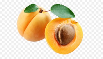 Apricot, Fruit, Computer Icons, Food PNG