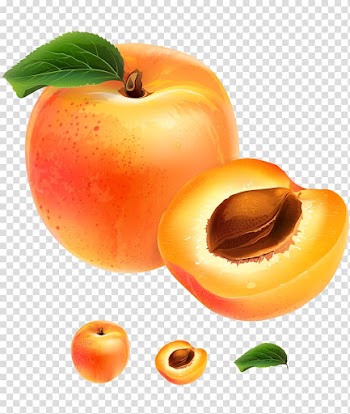 Apricot Fruit Illustration, Hand-painted sweet ripe peach fruit transparent background PNG clipart