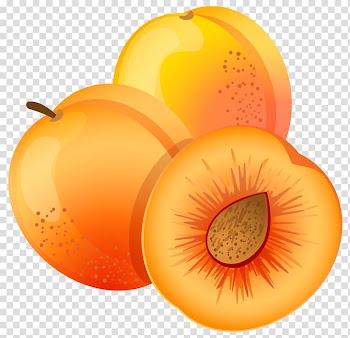 Apricot Fruit Peach , apricot transparent background PNG clipart