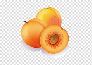 Apricot Fruit Peach , Peach transparent background PNG clipart