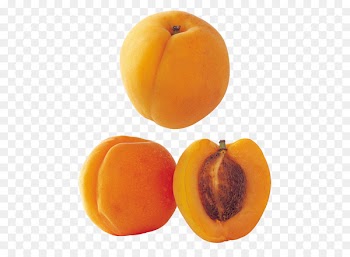Apricot Peach Nectarine Vegetarian cuisine Fruit - apricot 