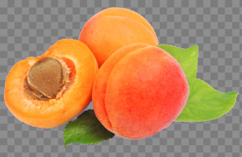 Apricot PNG Free Download