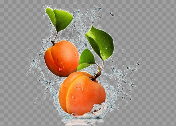 Apricot PNG Image Background
