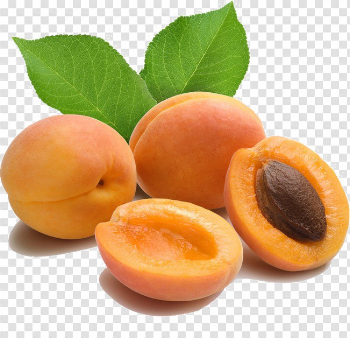 Apricot PNG Transparent Image