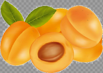 Apricot Transparent Image