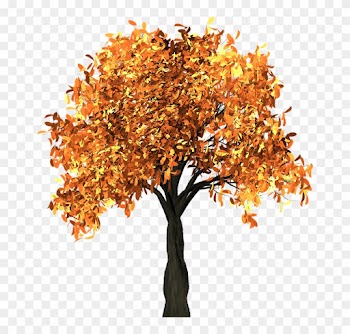 Apricot Tree And The Seasons - Chestnut Tree Autumn Clipart