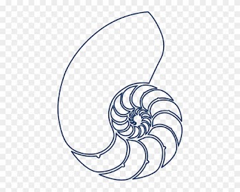 Aqua Blue Seashell Clipart Cliparthut Free - Nautilus Shell Drawing
