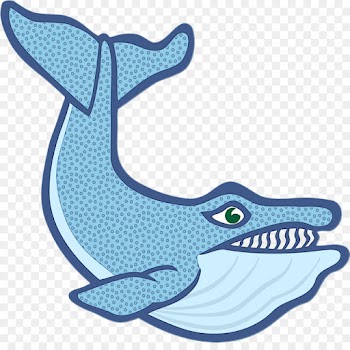 aqua cartoon cetacea marine mammal blue whale