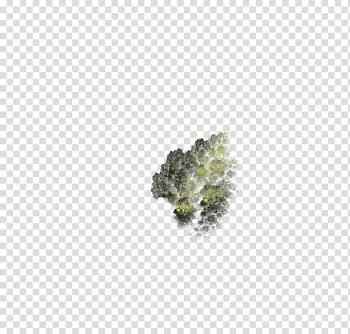 Aqua Set Fractal Set III, green and black abstract painting transparent background PNG clipart