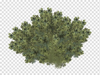 Aqua Set Fractal Set III, green smoke transparent background PNG clipart