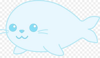 aqua turquoise marine mammal fish smile