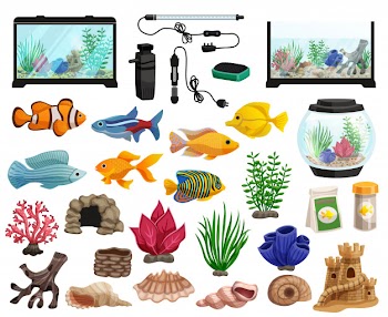 Aquaristics and aquarium fishes set Free Vector