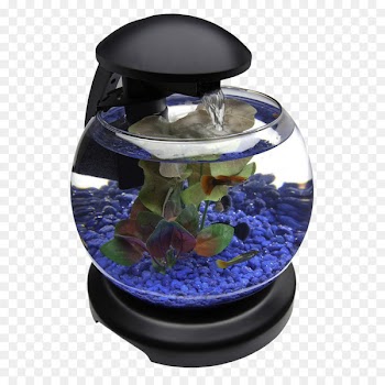 Aquarium Barcelona Goldfish - Glob Aquarium Fish Tank 