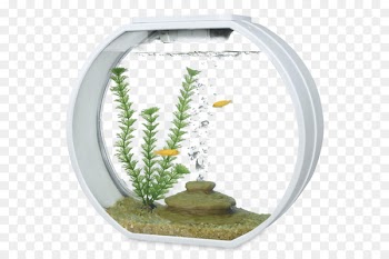 Aquarium Filters Siamese fighting fish Aquariums - fish tank 