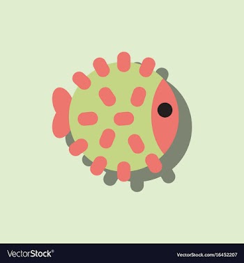 Aquarium fish silhouette colorful cartoon flat vector image