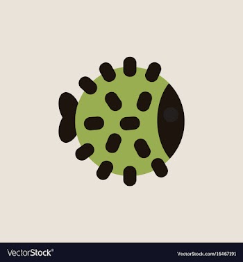 Aquarium fish silhouette colorful cartoon flat vector image