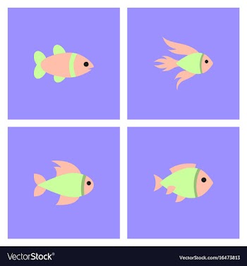 Aquarium fish silhouette colorful cartoon flat vector image