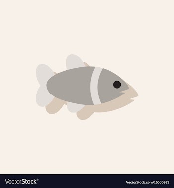 Aquarium fish silhouette colorful cartoon flat vector image