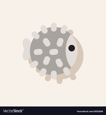 Aquarium fish silhouette colorful cartoon flat vector image