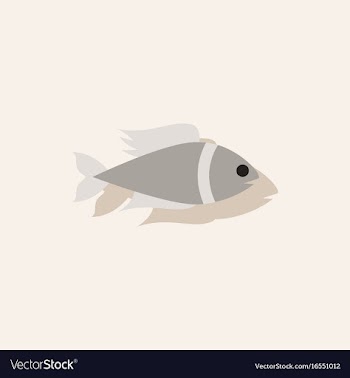 Aquarium fish silhouette colorful cartoon flat vector image