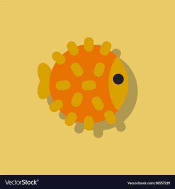 Aquarium fish silhouette colorful cartoon flat vector image