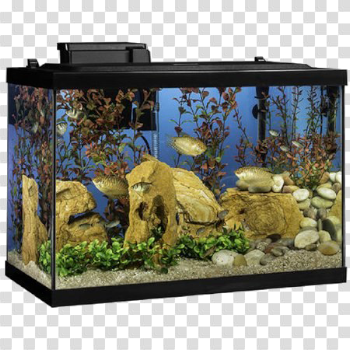 Aquarium Fish Tank