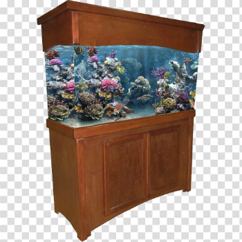 Aquarium Furniture HD Image Free PNG