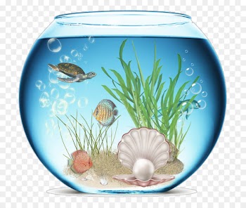 Aquarium Icon - Fish tank scenery material map 