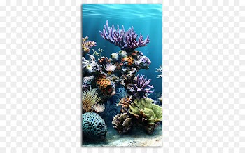 Aquarium Koi Goldfish Green swordtail - coral reef 