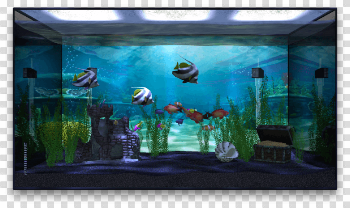 Aquarium Life Transparent Image