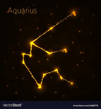 Aquarius silhouette of lights vector image