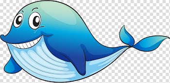 Aquatic animal , Cartoon hand painted whale transparent background PNG clipart