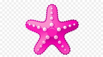 Aquatic animal Deep sea creature Ocean - Vector cartoon starfish 