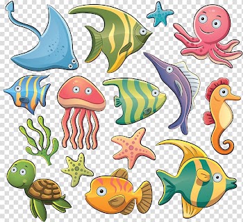 Aquatic animal Sea , sea transparent background PNG clipart