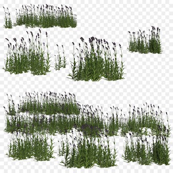 Aquatic Plants M Bubble - lavender 
