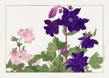 Aquilegia flower woodblock painting by Tanigami | Free Photo Illustration - rawpixel