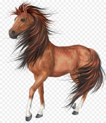 Arabian horse Akhal-Teke Black Clip art - Horses 