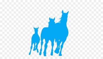 Arabian Horse, Foal, Mare, Llama, Silhouette PNG