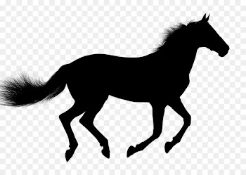 Arabian Horse, Mustang, Pony, Horse, Mammal PNG