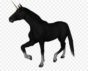 Arabian horse Rocky Mountain Horse Black Roan Unicorn - Unicorn background 