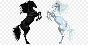 Arabian horse Stallion Euclidean vector Illustration - White Horse and Black Horse 