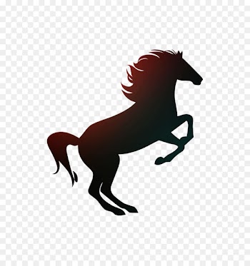 Arabian horse The Black Horse Hotel Rearing Stallion -  