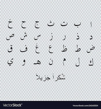 Arabic alphabet letters vector image