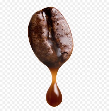 Arabica coffee Cafe Robusta coffee Coffee bean - Walnut meat 