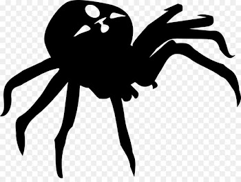 Arachnid, Insect, Cartoon, Spider, Black PNG