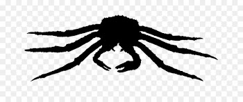 Arachnid Insect Silhouette Membrane -  