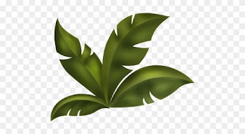 Arana Альбом «scrap Kits / Scrap Kits 13 / Sk Jungle - Jungle Leaves Clip Art